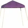 ShelterLogic Pop-Up Canopy HD® Slant Leg - 8-ft X 8-ft - Purple -ShelterLogic Sales 330034504 MainImage 001