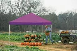ShelterLogic Pop-Up Canopy HD® Straight Leg - 10-ft X 10-ft - Purple -ShelterLogic Sales 330034605 AlternateImage3