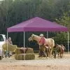 ShelterLogic Pop-Up Canopy HD® Straight Leg - 12-ft X 12-ft - Purple 2 ShelterLogic Pop-Up Canopy HD® Straight Leg - 12-ft X 12-ft - Purple -ShelterLogic Sales 330034606 AlternateImage2
