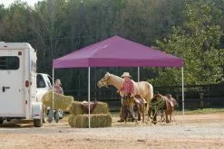 ShelterLogic Pop-Up Canopy HD® Straight Leg - 12-ft X 12-ft - Purple